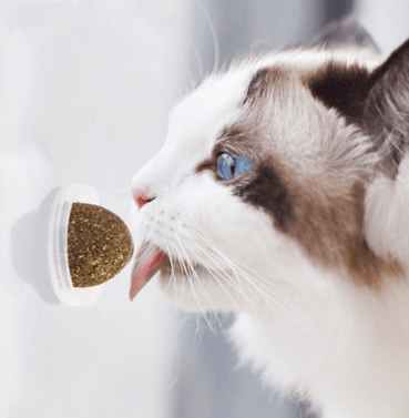 Minty Fun Catnip Ball Toy Set - Interactive Pet Supplies For Playful Cats